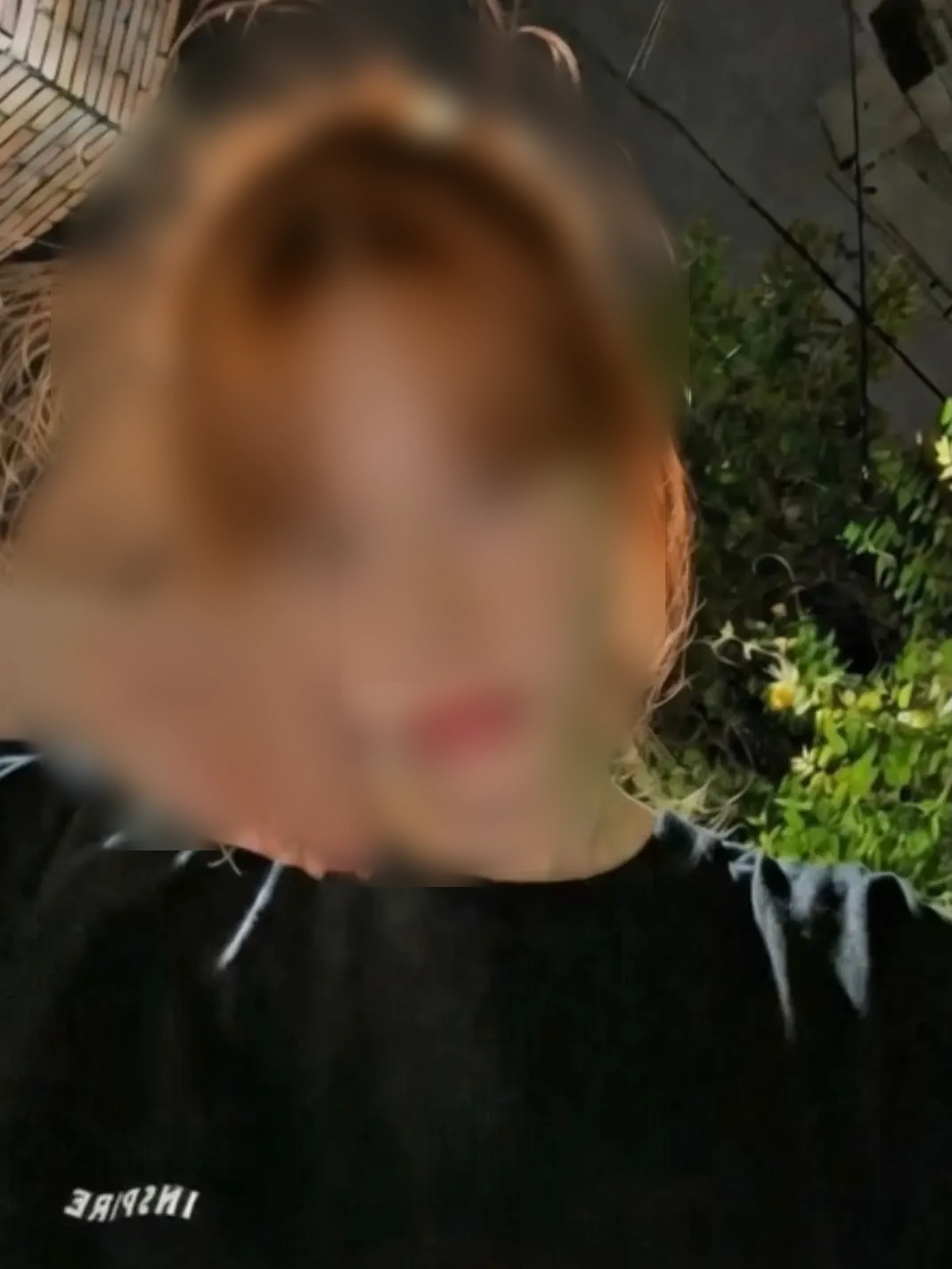 Bella - Image 1